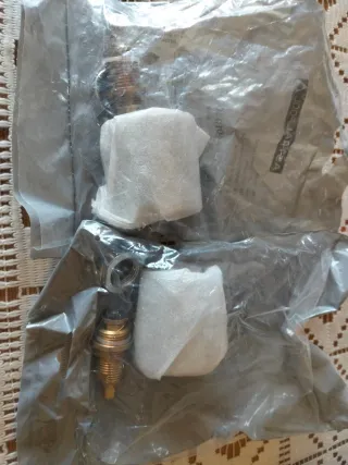 Pomo y eje ducha AstralPool 4401040047