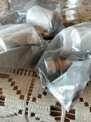 Pomo y eje ducha AstralPool 4401040047