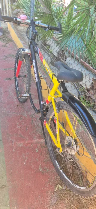 Bicicleta 26 Boomerang