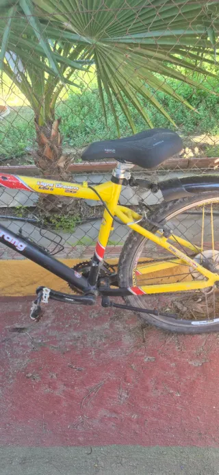 Bicicleta 26 Boomerang