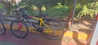 Bicicleta 26 Boomerang