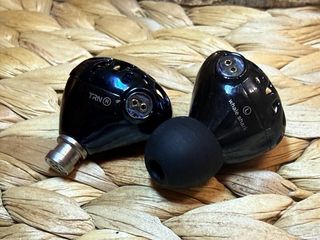 TRN Whale Shark IEM