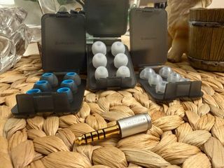 Twistura Beta Flagship IEM