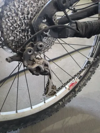Bicicleta Focus Thunder 30.3