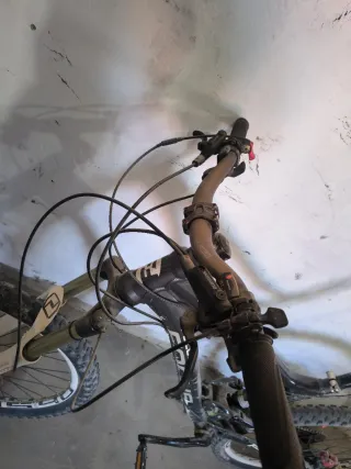 Bicicleta Focus Thunder 30.3