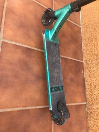 Scooter Blunt Colt