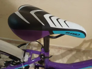 Bicicleta Infantil B-Pro 20 Pulgadas