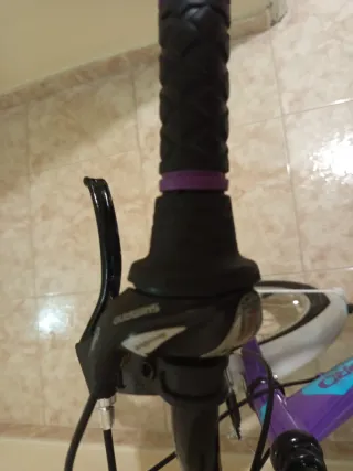 Bicicleta Infantil B-Pro 20 Pulgadas