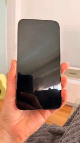 iPhone 13 Pro Max 256GB space gray