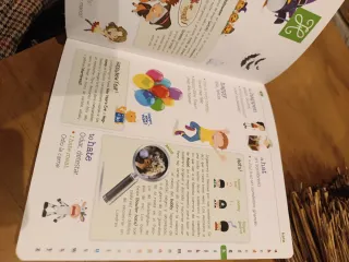 Mi Primer Diccionario de Inglés