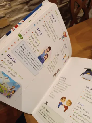 Mi Primer Diccionario de Inglés