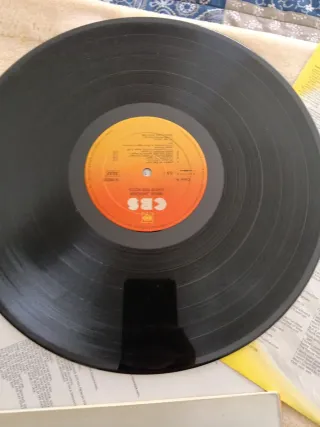 2 Vinili di Mick Jagger