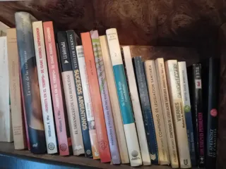 Libros surtidos, buen estado, buenos títulos y pre