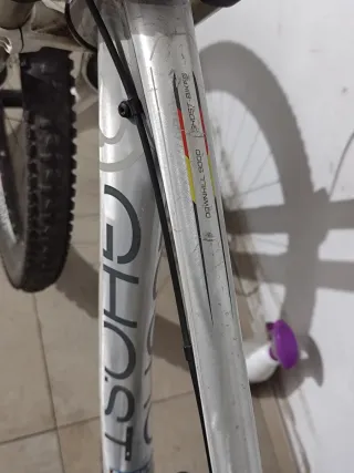 Bicicleta de Descenso DH