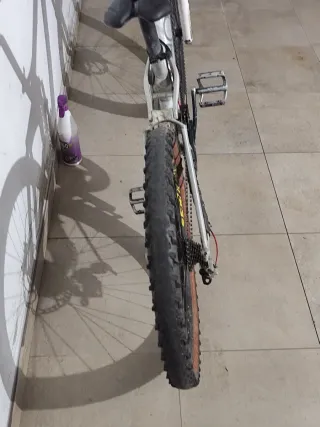 Bicicleta de Descenso DH