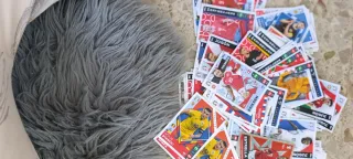 Colección Cartas Fútbol Panini