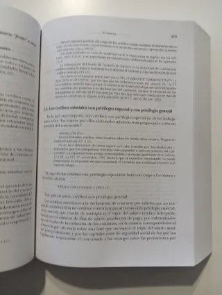 Manual de Derecho del Trabajo 13ª Edición