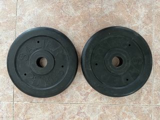 Discos Salter 2.5 kg