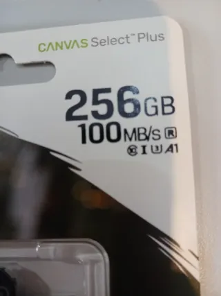 Micro sd 256gb Kingston clase 10