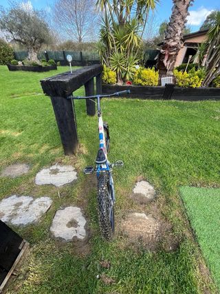 Bici Trial Monty 219 Alp