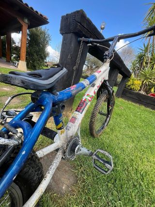 Bici Trial Monty 219 Alp