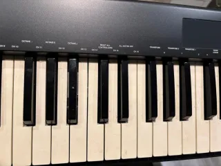 Teclado MIDI Alesis Q88 + suport