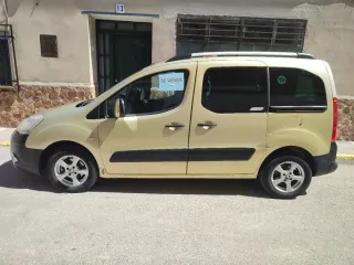 Citroen Berlingo 2009