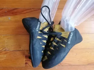 Pies de Gato Boreal Talla 37.5