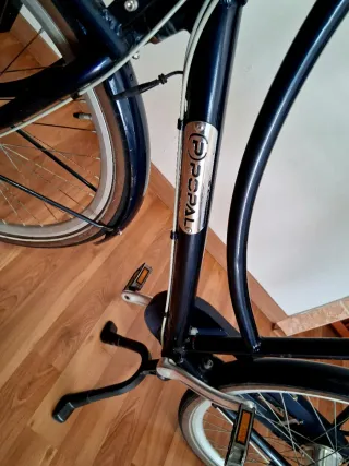 Bicicleta Holandesa POPAL
