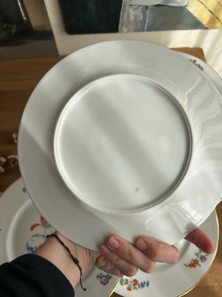 Piatti da dessert in porcellana francese