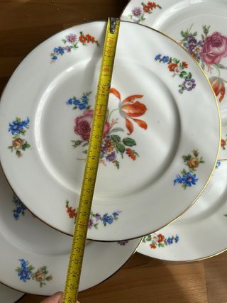 Piatti da dessert in porcellana francese