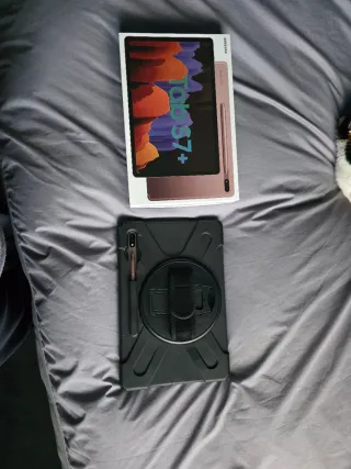 Samsung Galaxy Tab S7+ Rosa