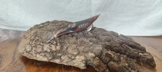 Egi Yamashita Edición Limitada 2018