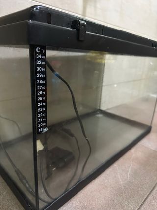 Acuario con luz LED