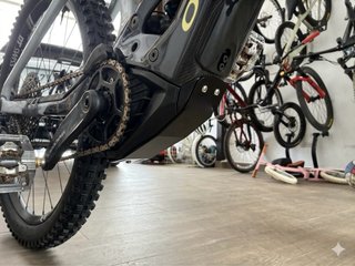 Protector motor simple Orbea Wild 23-24