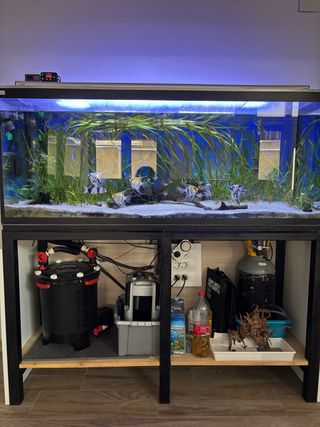 Acuario 450L con filtro y pantalla LED