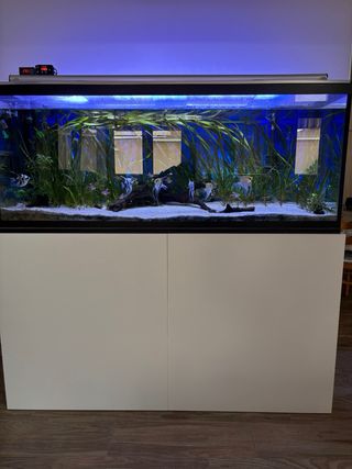 Acuario 450L con filtro y pantalla LED