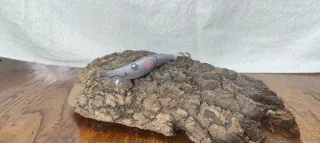 Egi YAMASHITA Live 2020 Edición Limitada