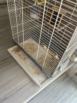 Jaula pájaros con espejo y balancín