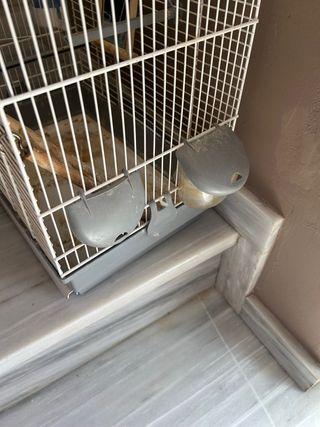 Jaula pájaros con espejo y balancín