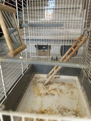 Jaula pájaros con espejo y balancín