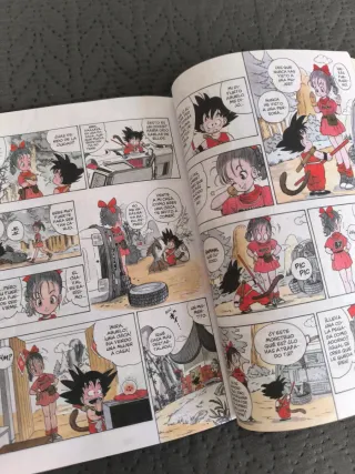 Figura Broly Super Saiyan + Manga Dragon Ball 1