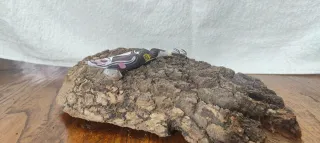 Egi YAMASHITA Edición Limitada 2021