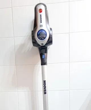 Aspirador Hoover Rapsody Pets 22V