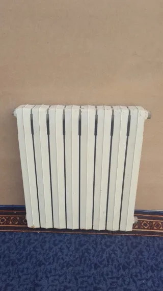 Radiador de hierro fundido blanco