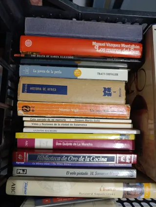 NOVELAS DE TODO TIPO