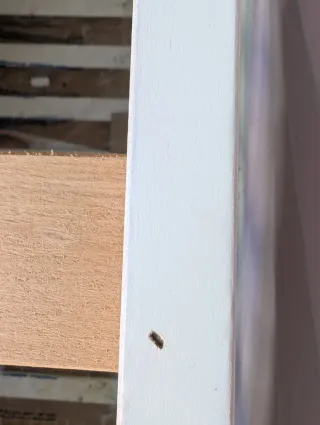 Maxi Cuna 140x70 cm con estrellas.