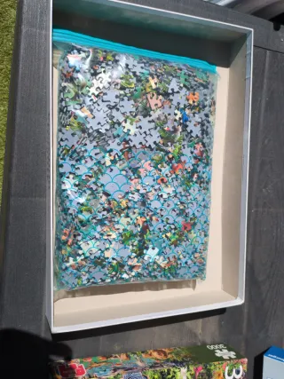 Puzzle Jumbo 3000 Piezas Arca de Noé