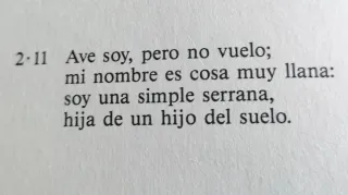 Libro adivinanzas infantil