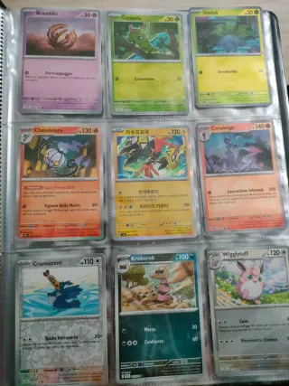 Pokémon album con carte